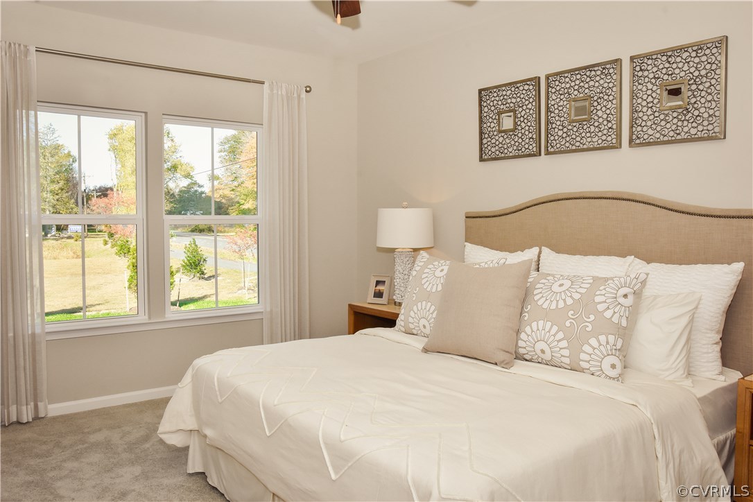 5312 Sandy Ridge Place Chesterfield, VA 23832 - Photo 6 of 14