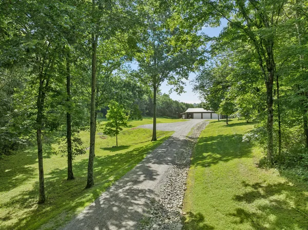 a view of a park with large trees