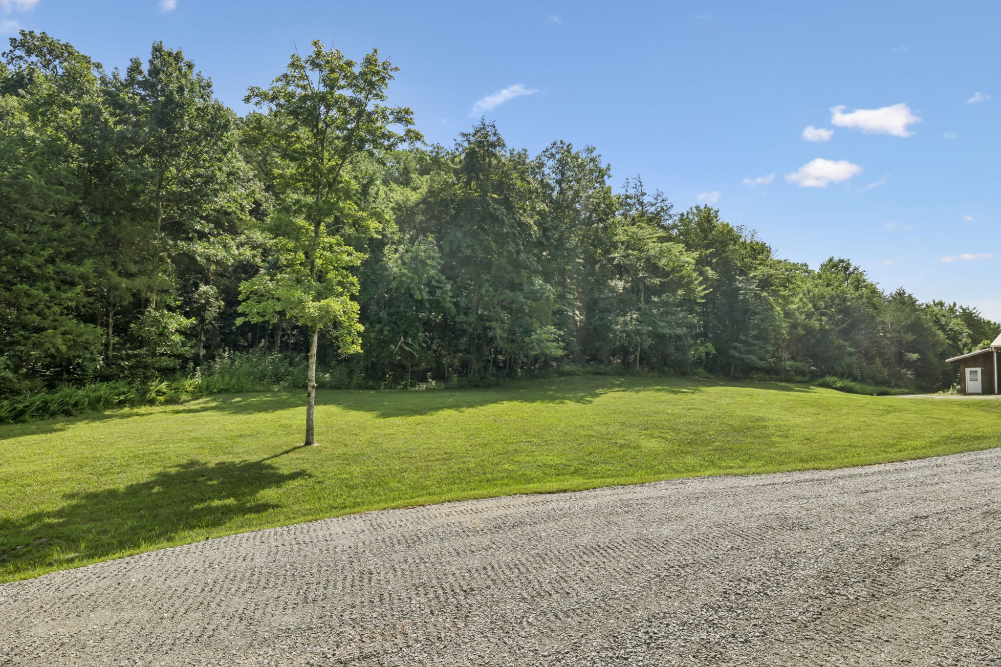 3148 McMillan Road Franklin, TN 37064 - Photo 15 of 16 a backyard of a house with lots of green space