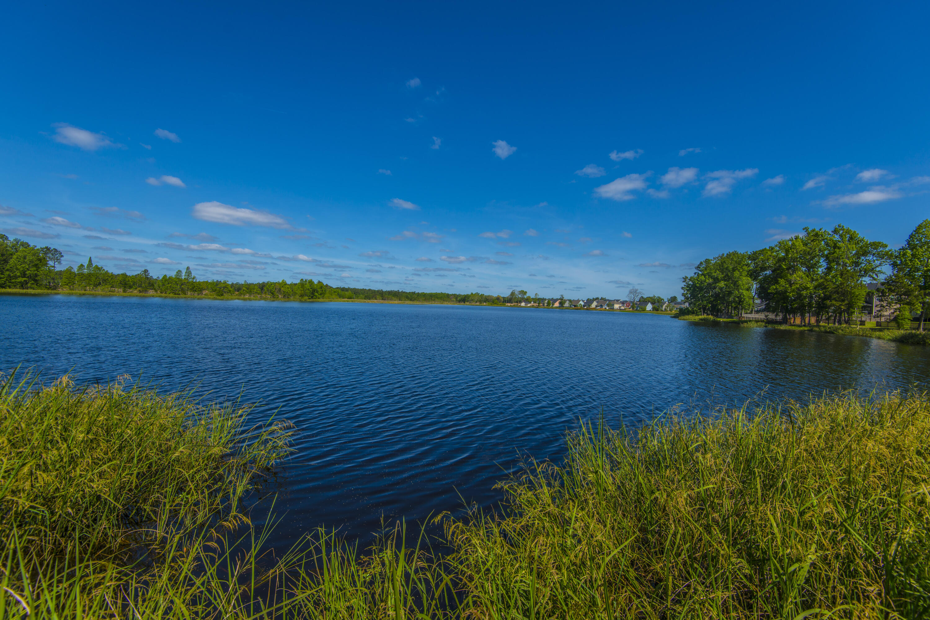 575 Pendleton Drive Moncks Corner, SC 29461 - Photo 53 of 58