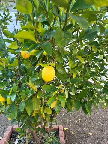 $615,000 | 24931 Heil Drive, Moreno Valley, CA 92553