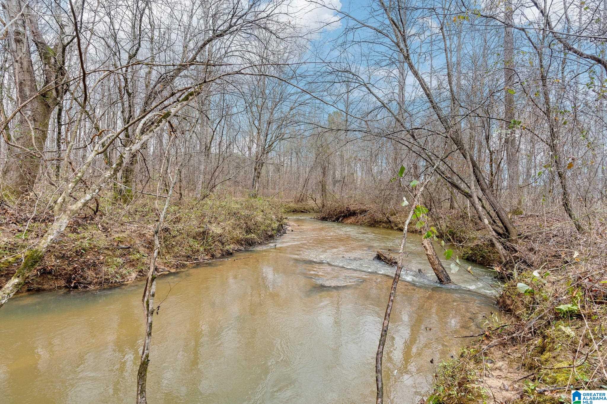 0 Highway 49 Lineville, AL 36266 - Photo 14 of 18