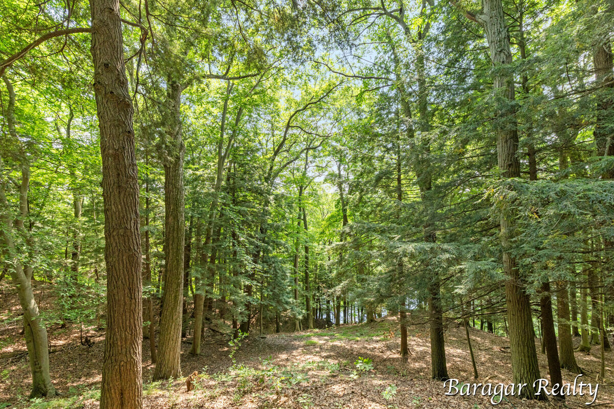 1540 West Ridge Road Newaygo, MI 49337 - Photo 20 of 33 IMG_1019 (4)