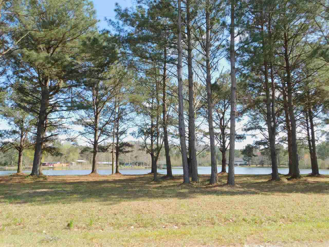 Lot 18 Fop Lodge Road Andalusia, AL 36421 - Photo 1 of 2 Gallery Image 1
