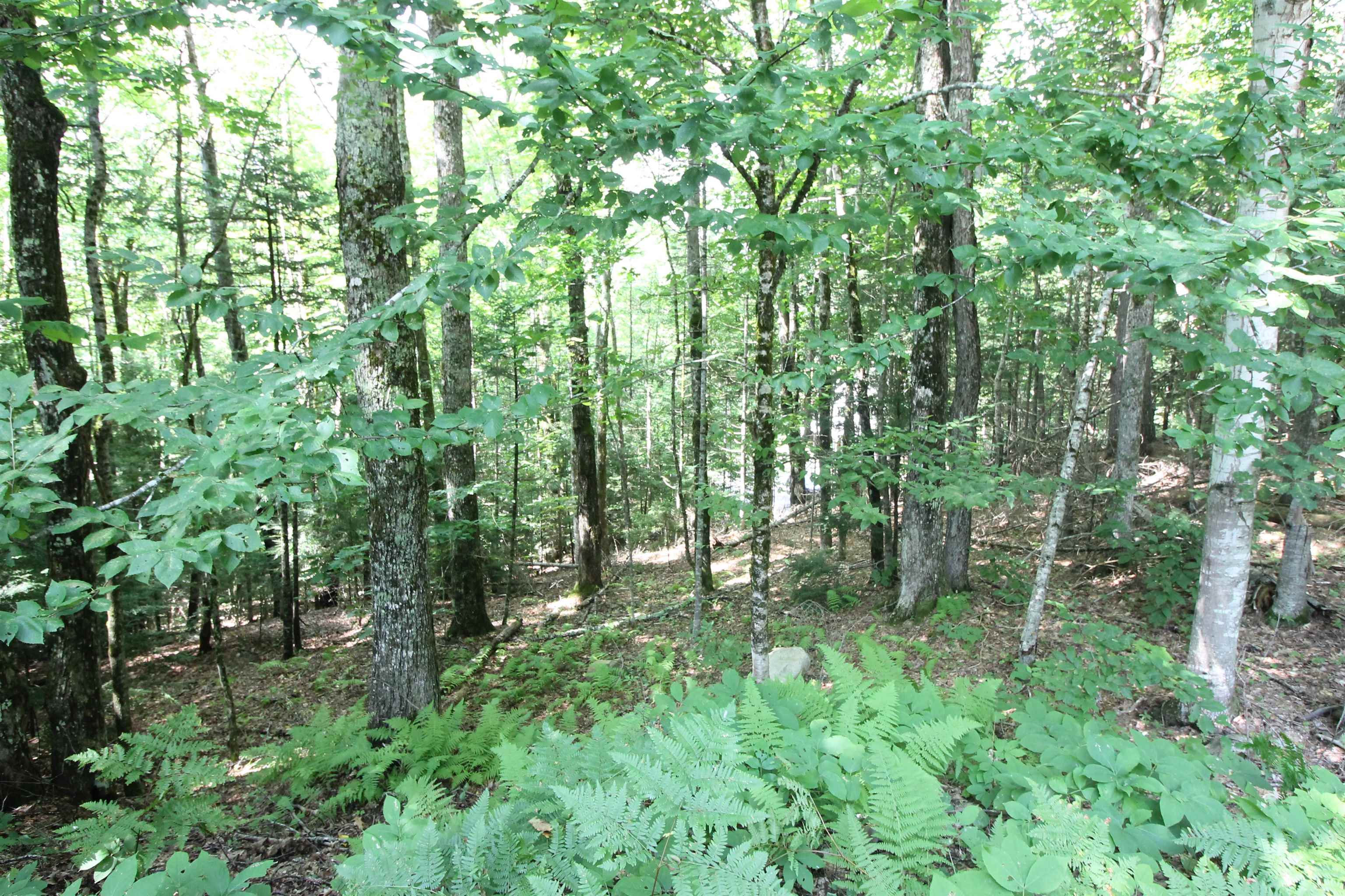 0 Treeline Road Thornton, NH 03285 - Photo 12 of 19