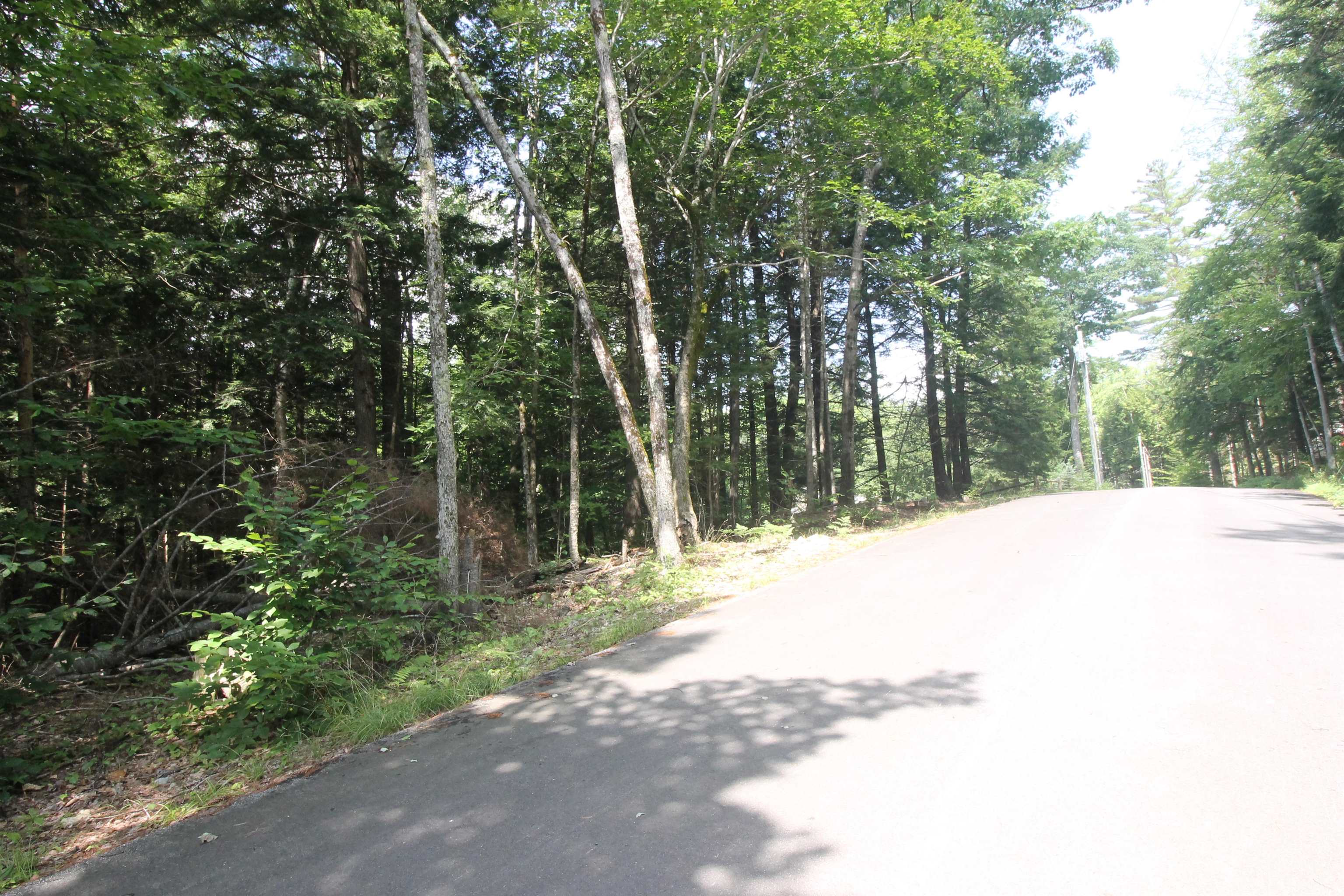 0 Treeline Road Thornton, NH 03285 - Photo 13 of 19