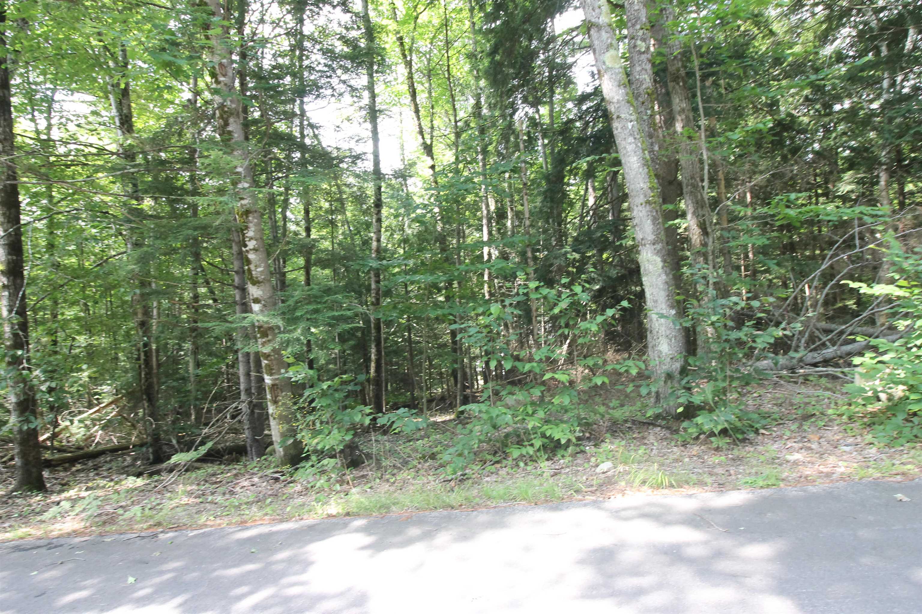 0 Treeline Road Thornton, NH 03285 - Photo 15 of 19