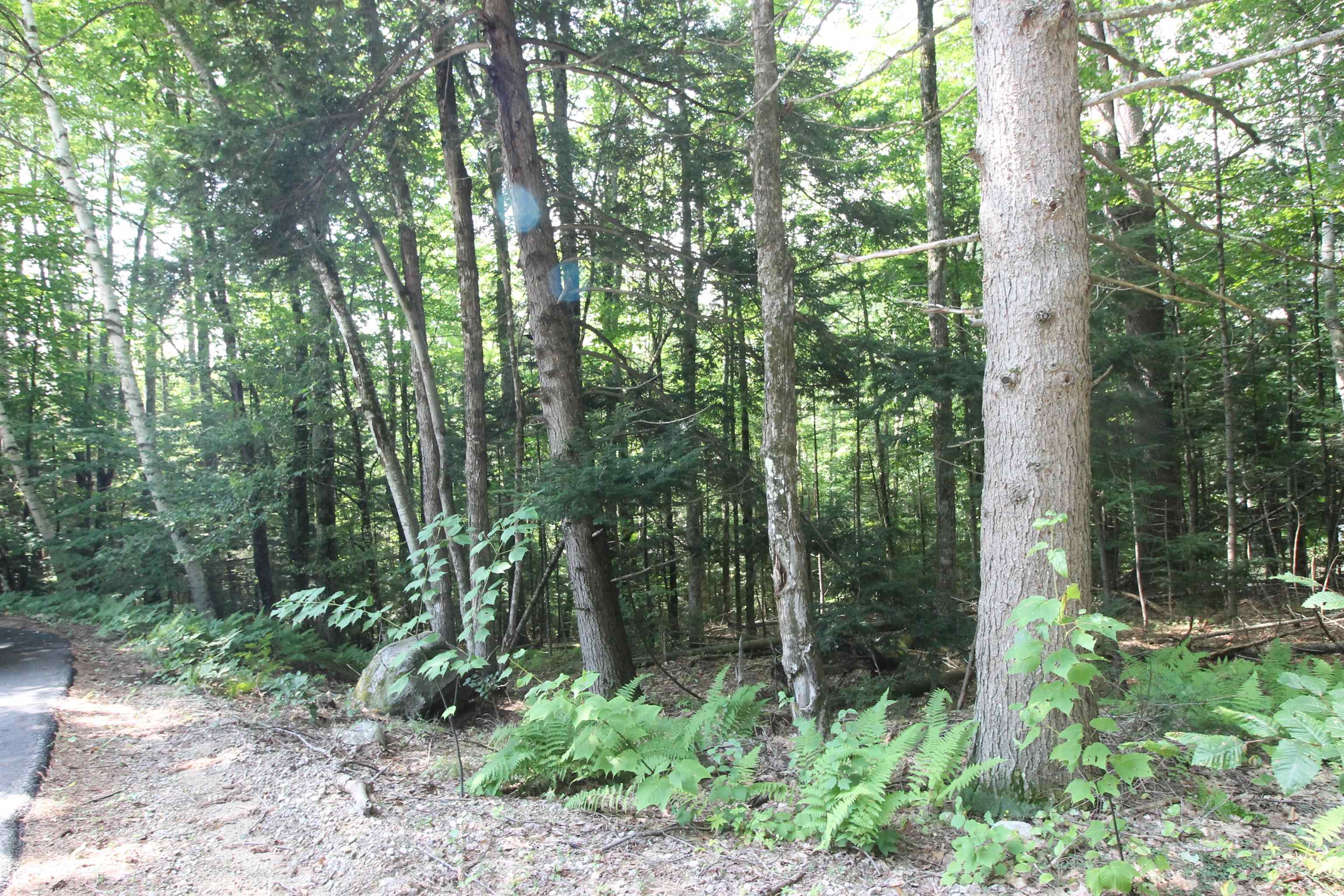0 Treeline Road Thornton, NH 03285 - Photo 3 of 19