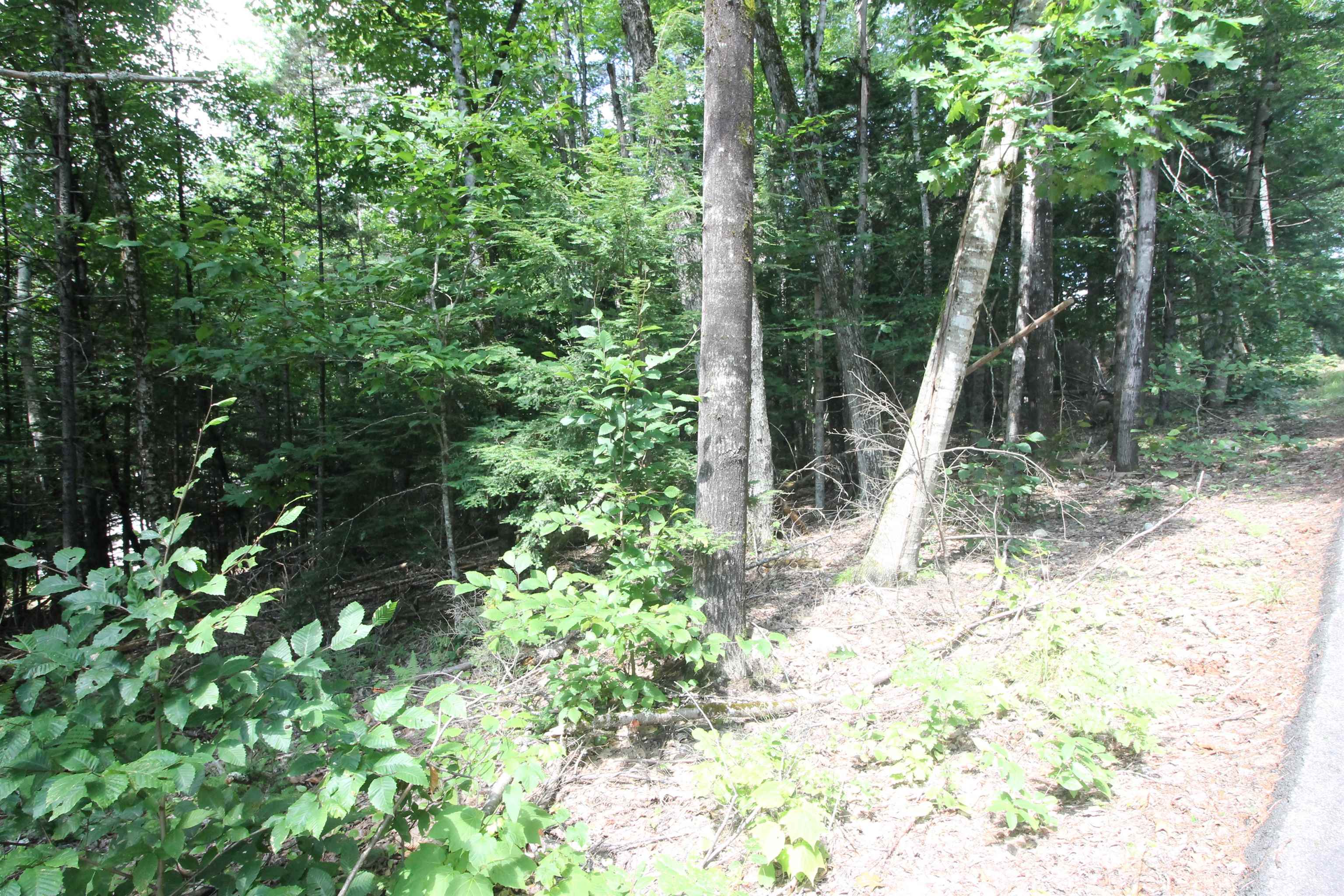 0 Treeline Road Thornton, NH 03285 - Photo 5 of 19