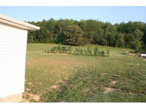 1555 Frank Roberts Road Afton, TN 37616 - Photo 2 of 3 Photo 2