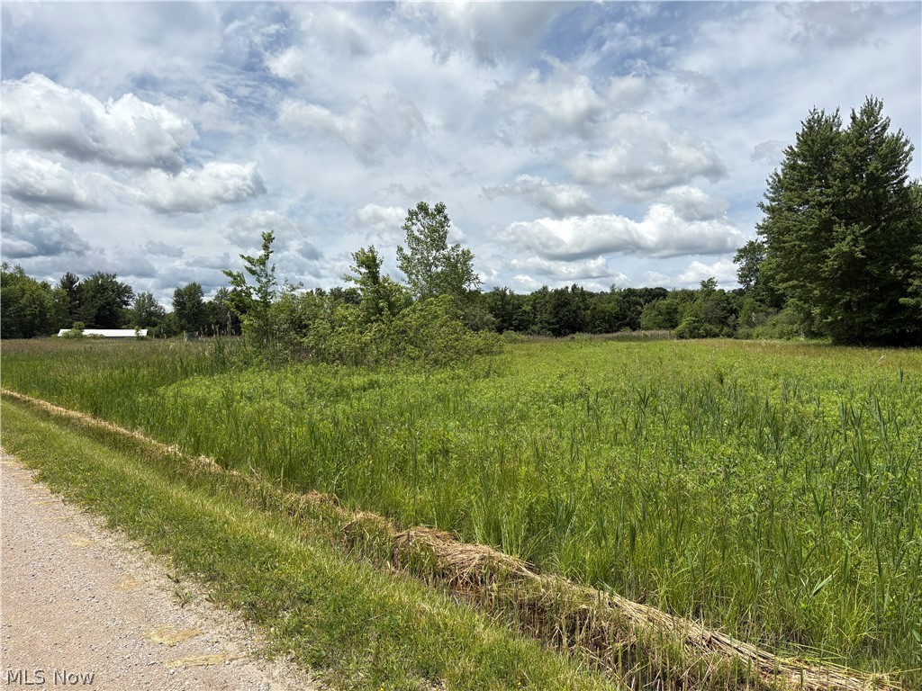 2659 Arthur Road Jefferson, OH 44047 - Photo 4 of 19