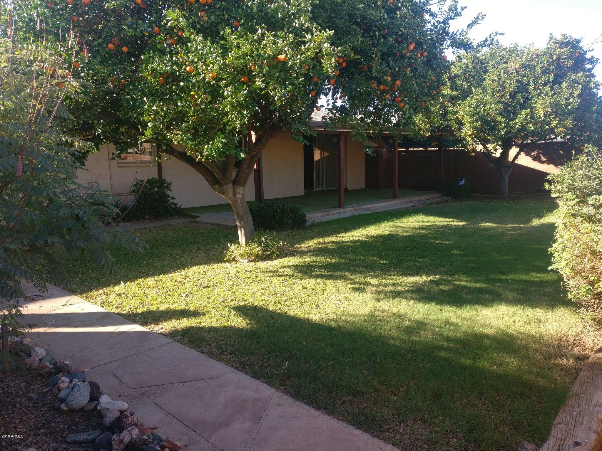 3736 West Ocotillo Road Phoenix, AZ 85019 - Photo 13 of 18 Backyard3
