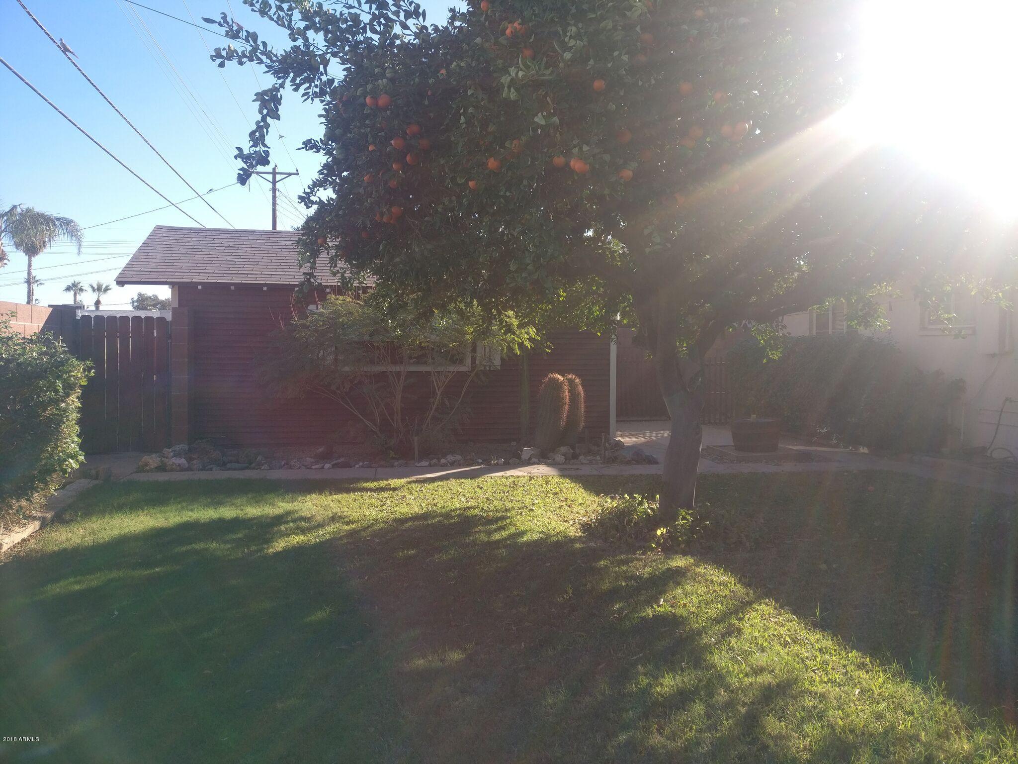 3736 West Ocotillo Road Phoenix, AZ 85019 - Photo 14 of 18 BackyardWorkshop