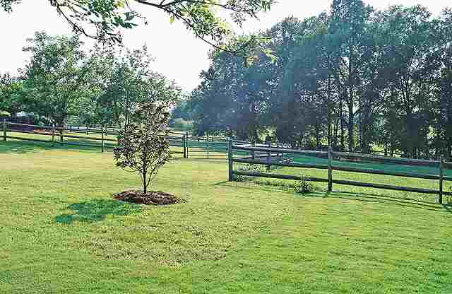 201 Bruce Farm Road Simpsonville, SC 29681 - Photo 25 of 25 Gallery Image 25