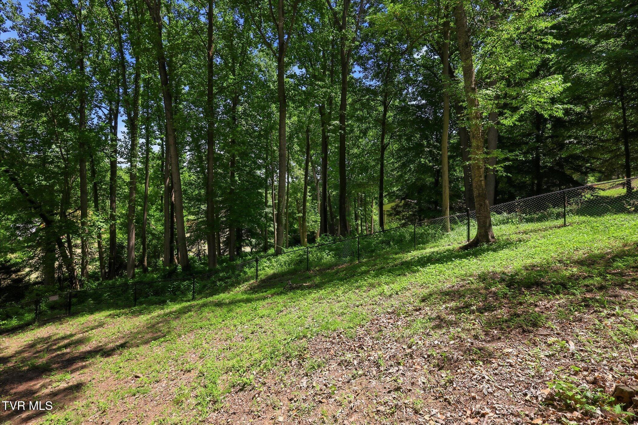 312 Mockingbird Road Bristol, TN 37620 - Photo 42 of 44 42-312-Mockingbird-Rd-Bristol-WindowStil