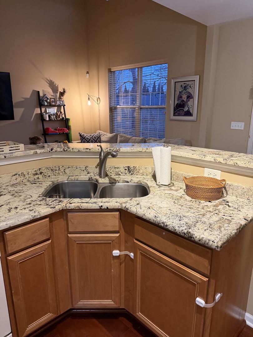 1137 Brent Road Northbrook, IL 60062 - Photo 7 of 25 a kitchen with granite countertop a sink and cabinets