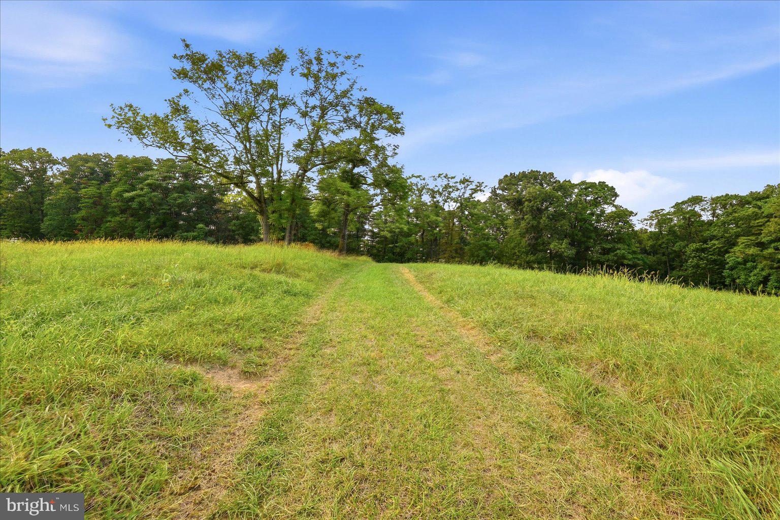 531 Cedar Grove Road Winchester, VA 22603 - Photo 39 of 83 Gallery Image 39