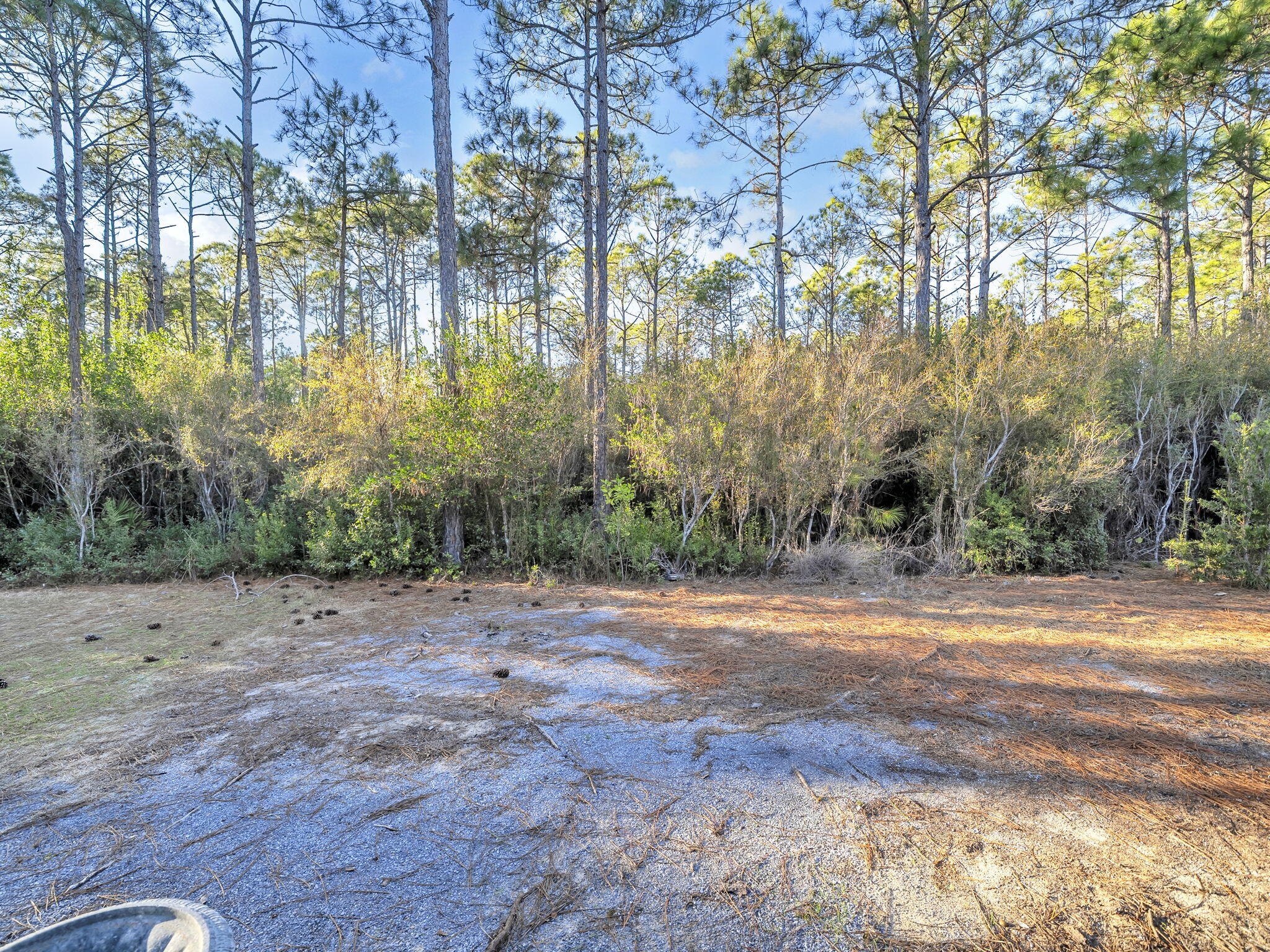 741 Breakers Street Inlet Beach, FL 32461 - Photo 38 of 39 38-web-or-mls-DSC07543