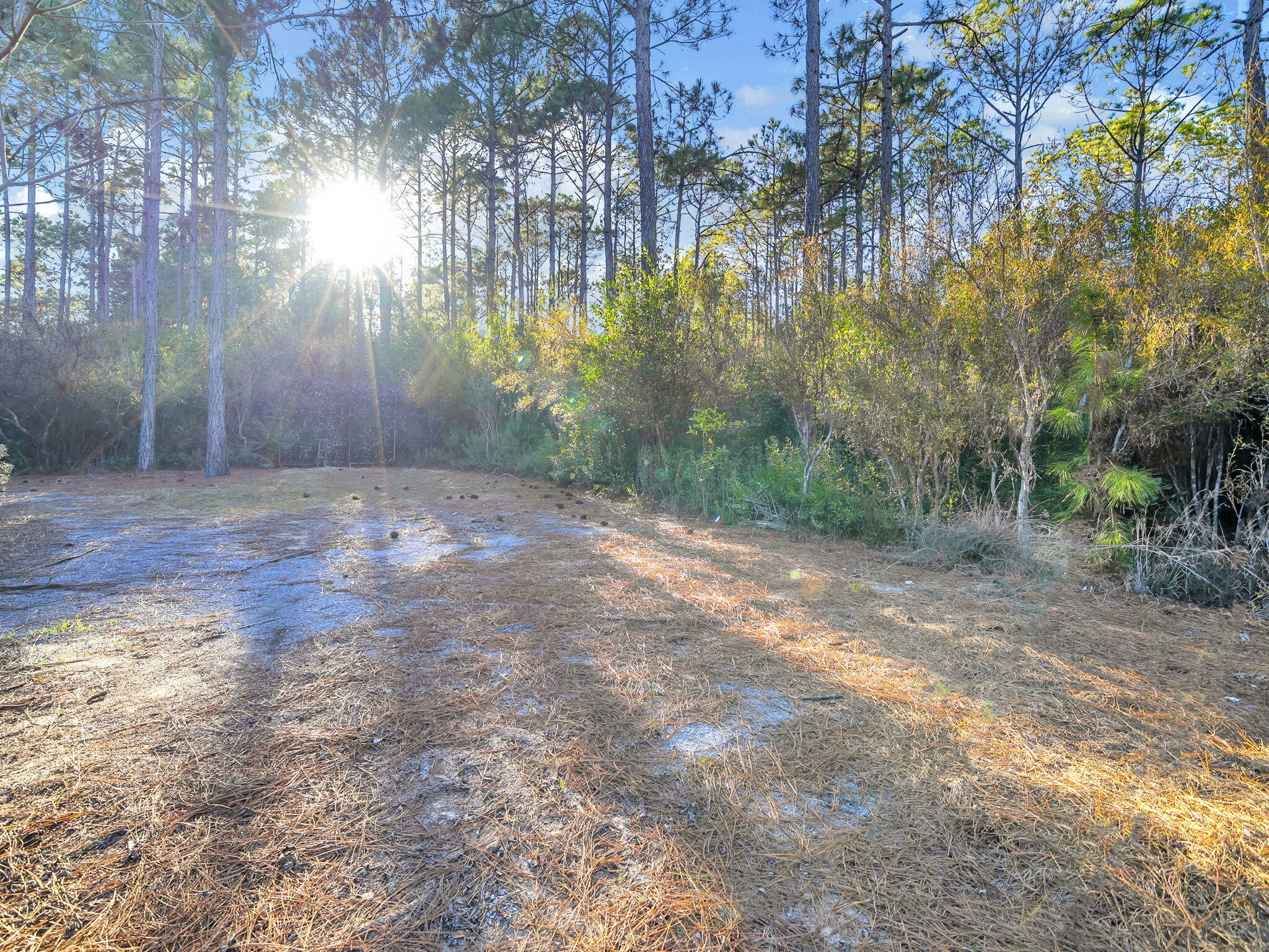 741 Breakers Street Inlet Beach, FL 32461 - Photo 39 of 39 39-web-or-mls-DSC07544