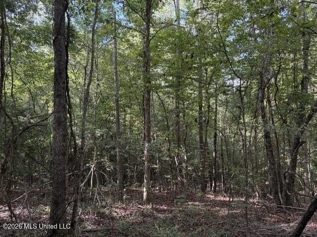 581 Smith County Road Raleigh, MS 39153 - Photo 8 of 8 IMG_9257 (1)