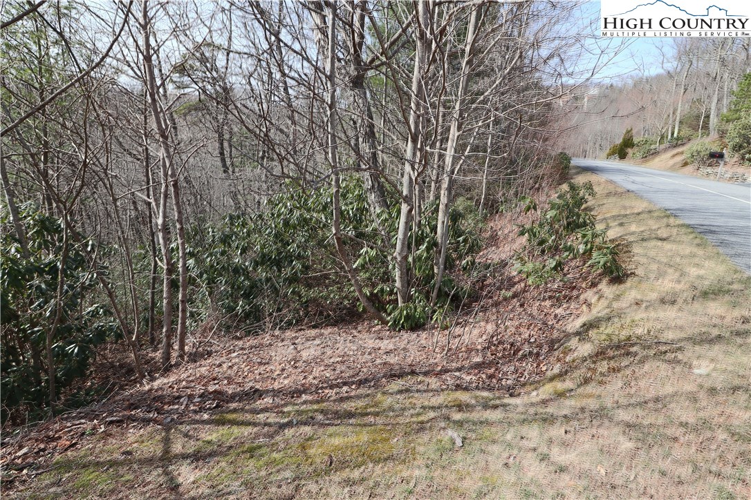 Boone Coffey Trail, Unit 63 Boone, NC 28607 - Photo 6 of 13 Gallery Image 6