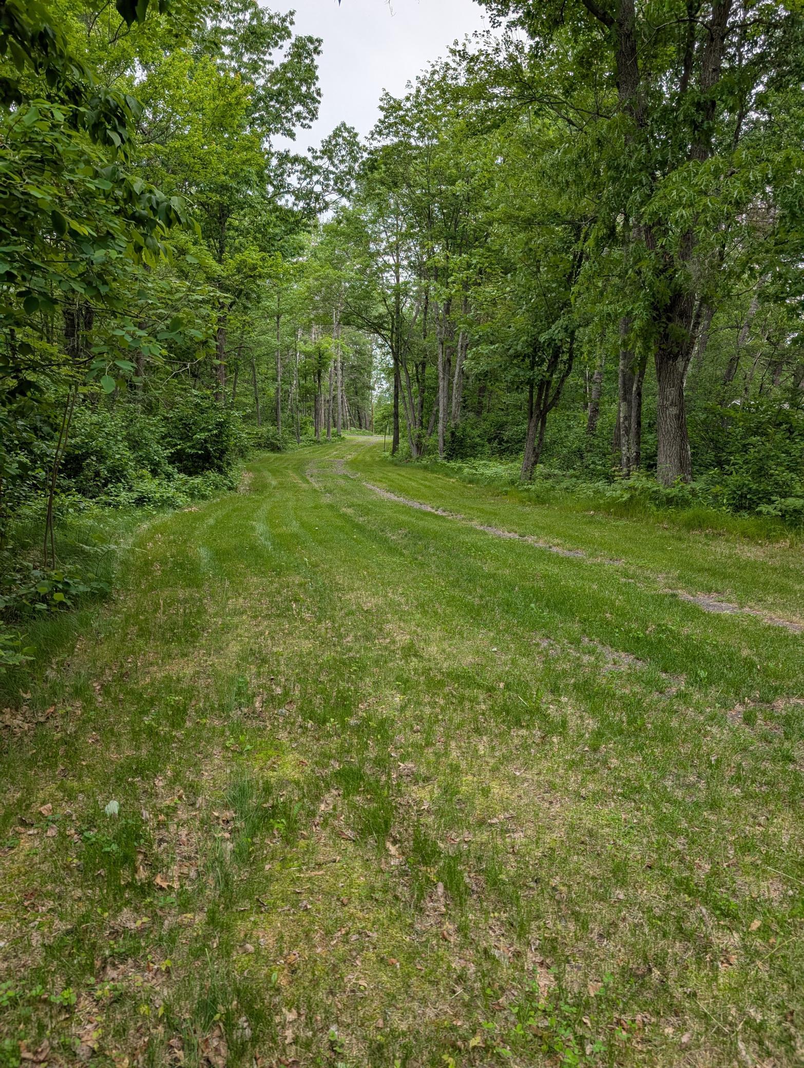 64100 East Ruth Lake Road Iron River, WI 54847 - Photo 4 of 16