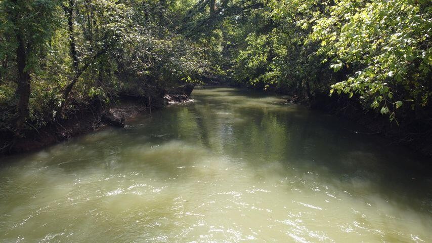 13 Athens Road Delano, TN 37325 - Photo 20 of 20
