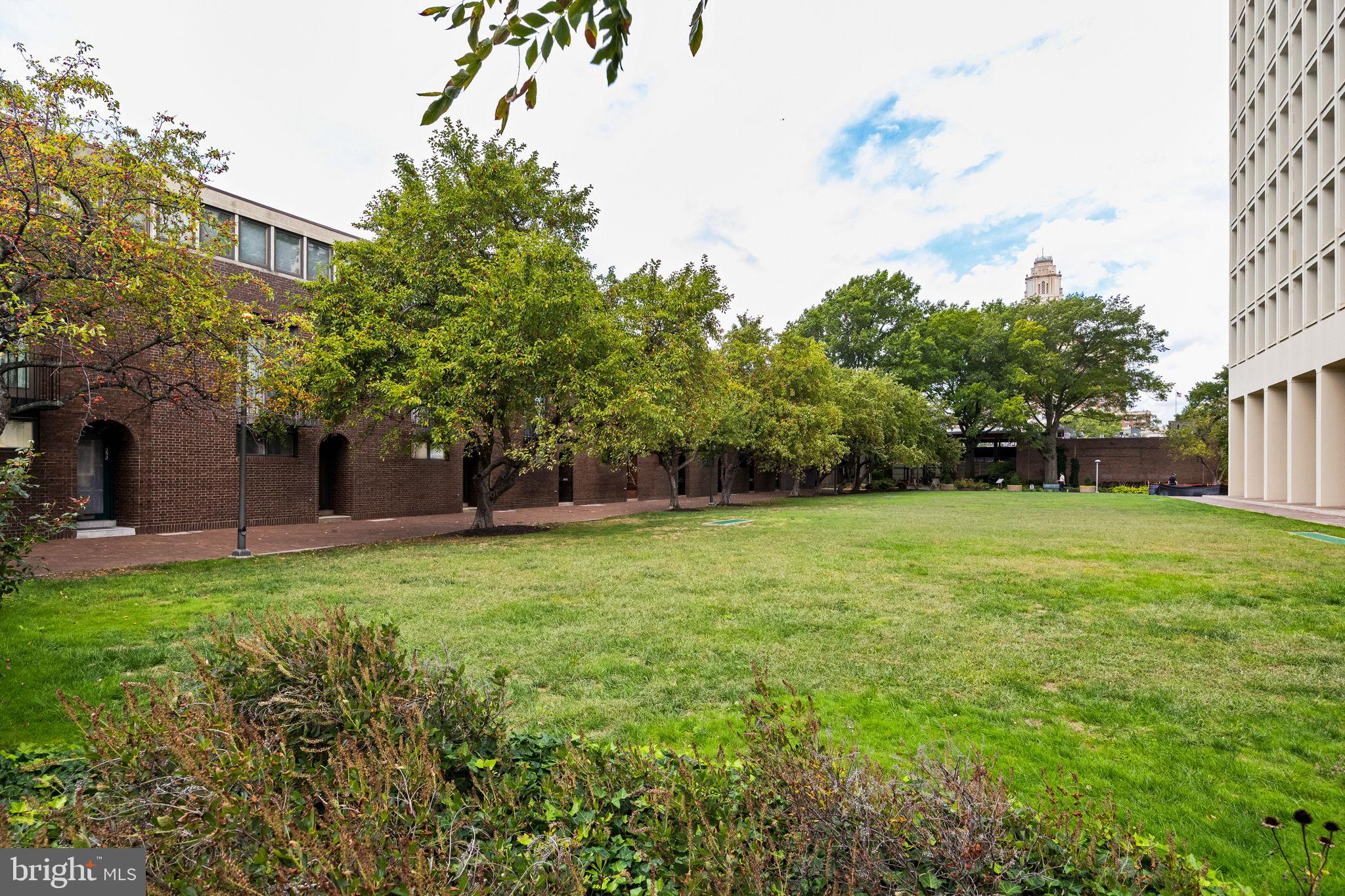 242 Locust Street Philadelphia, PA 19106 - Photo 62 of 62 a view of a backyard with a garden