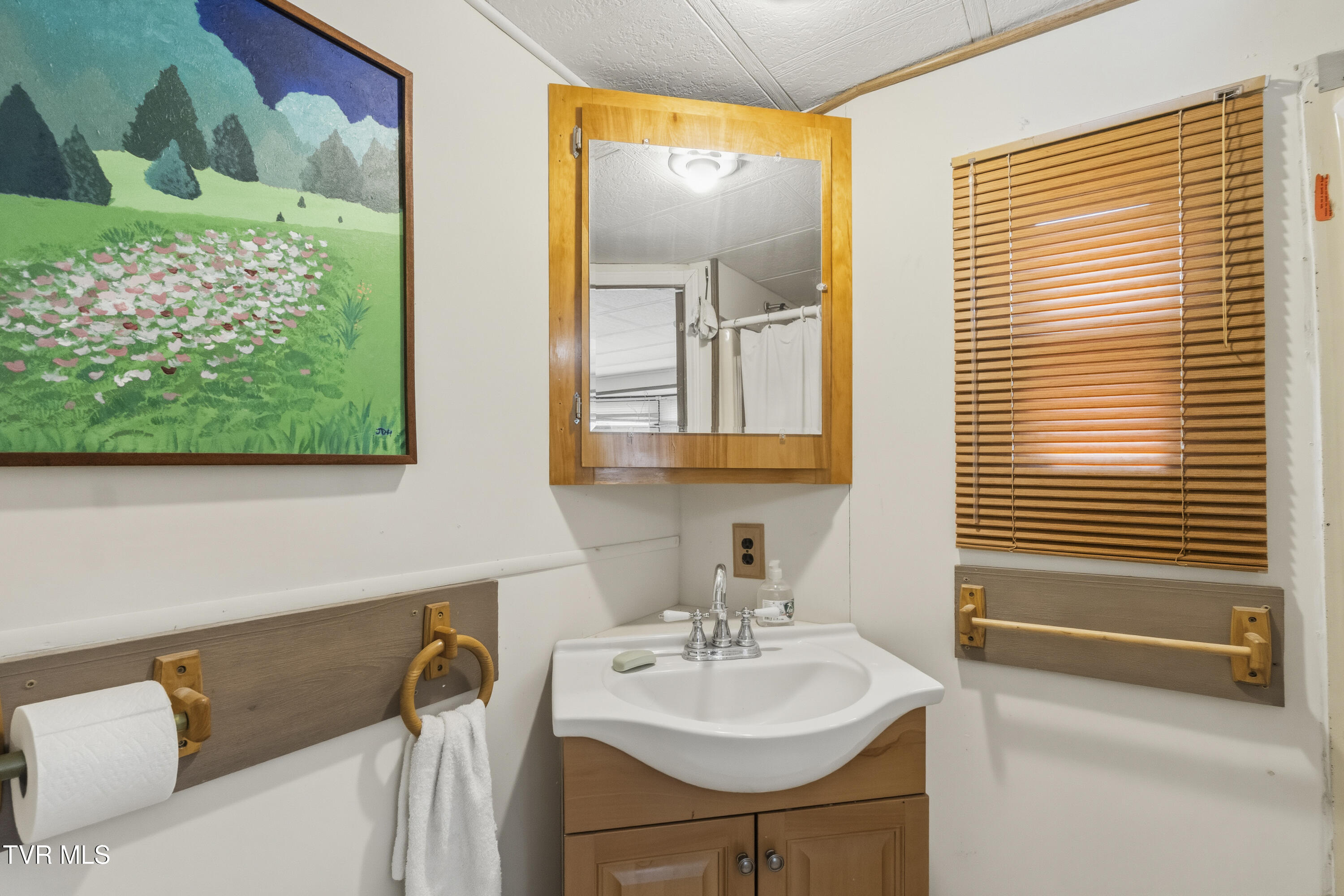 701 Doc Hawkins Road Greeneville, TN 37745 - Photo 15 of 51 DSC06635