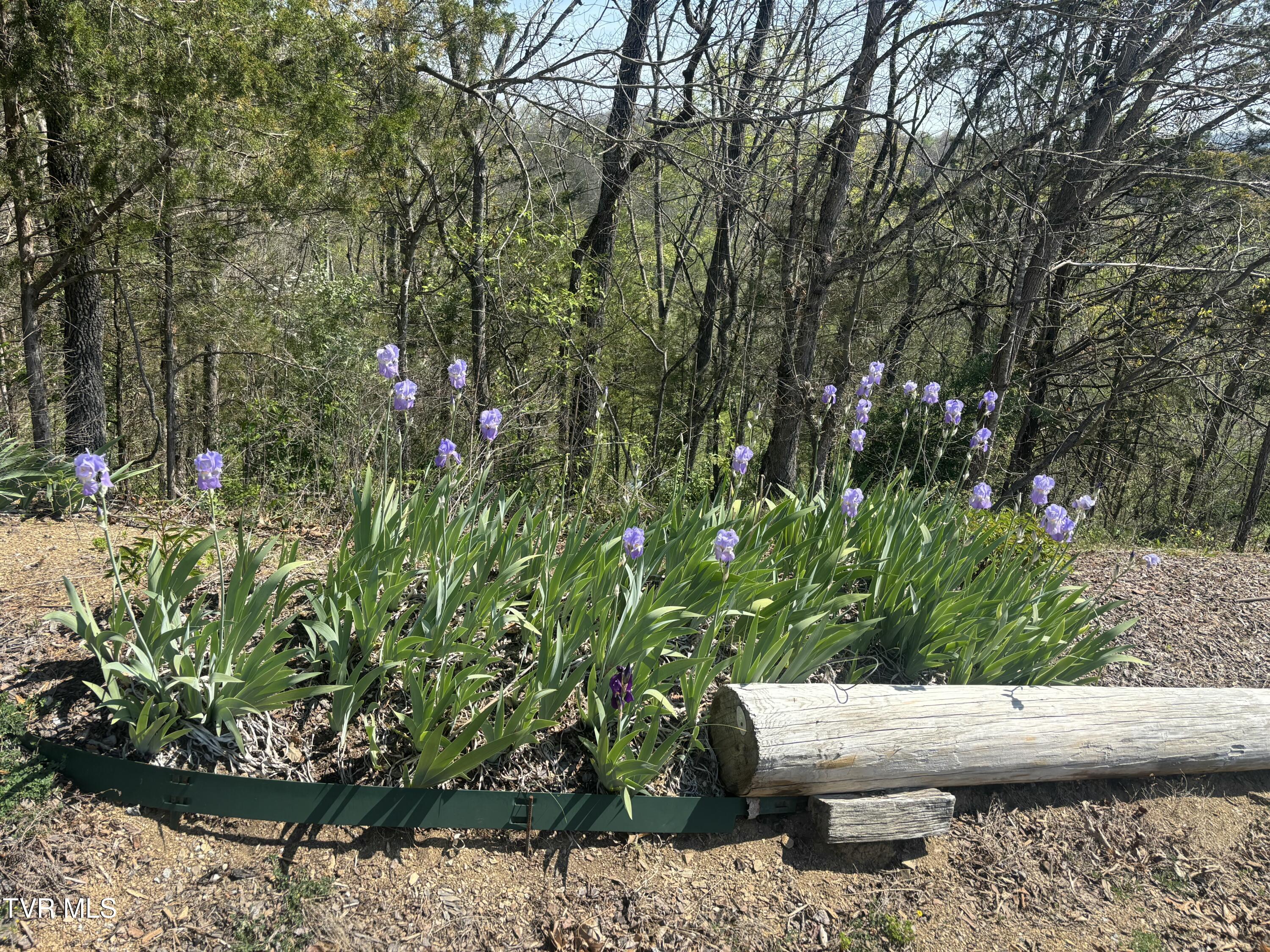 701 Doc Hawkins Road Greeneville, TN 37745 - Photo 48 of 51 IMG_1158