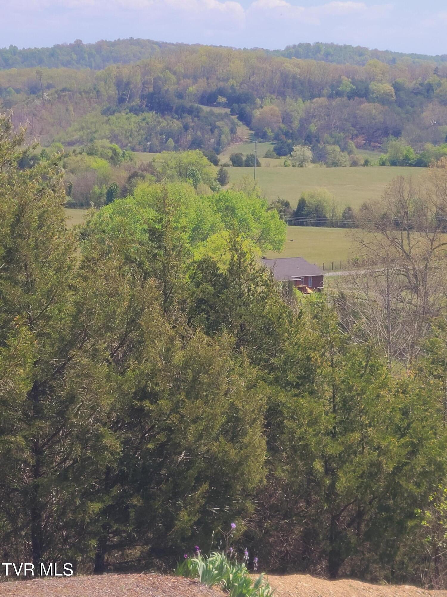 701 Doc Hawkins Road Greeneville, TN 37745 - Photo 51 of 51 20260412_134907