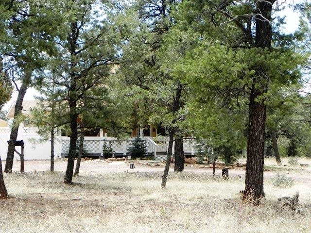 3001 Aspen Road Overgaard, AZ 85933 - Photo 10 of 36
