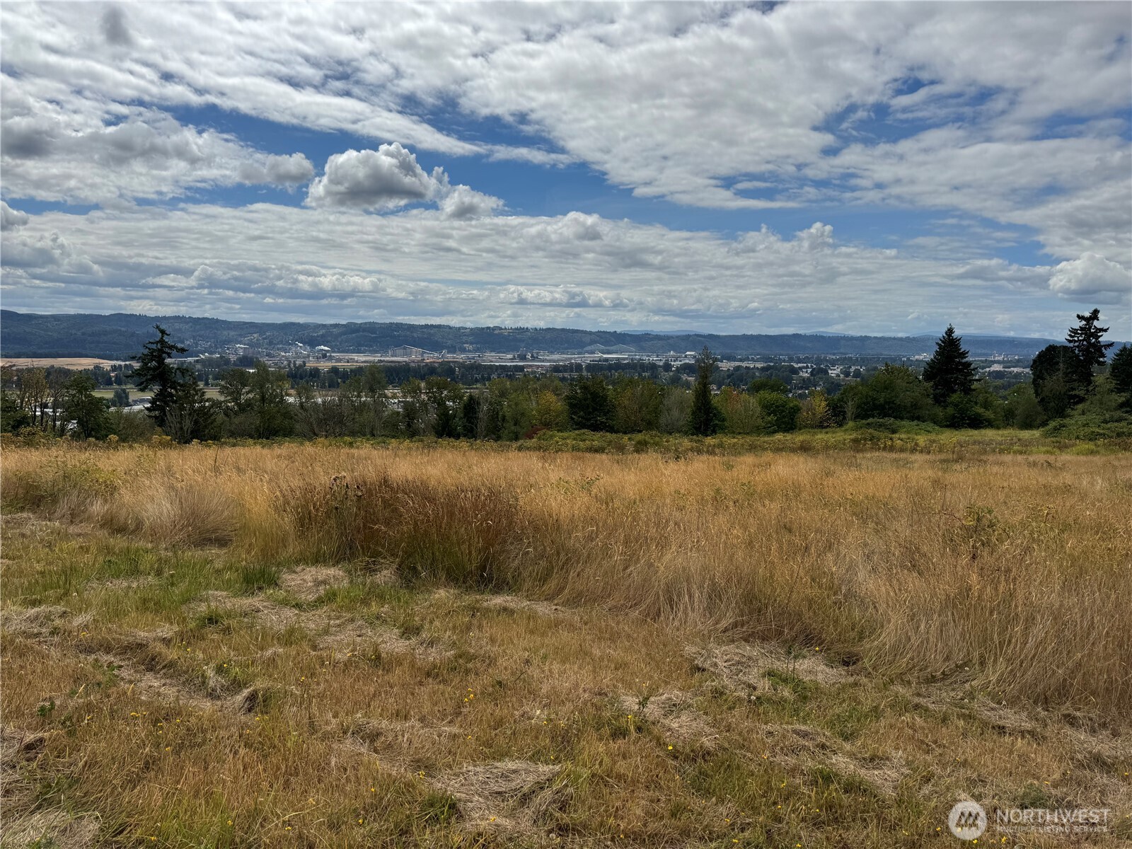 0 Grim Road Kelso, WA 98626 - Photo 3 of 6