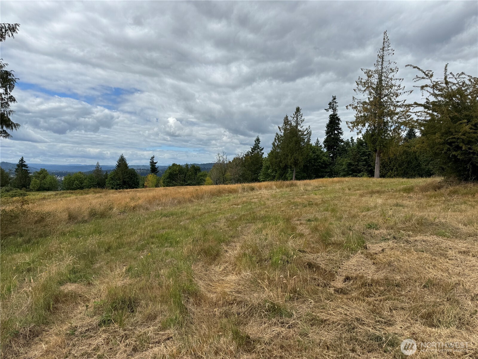 0 Grim Road Kelso, WA 98626 - Photo 6 of 6