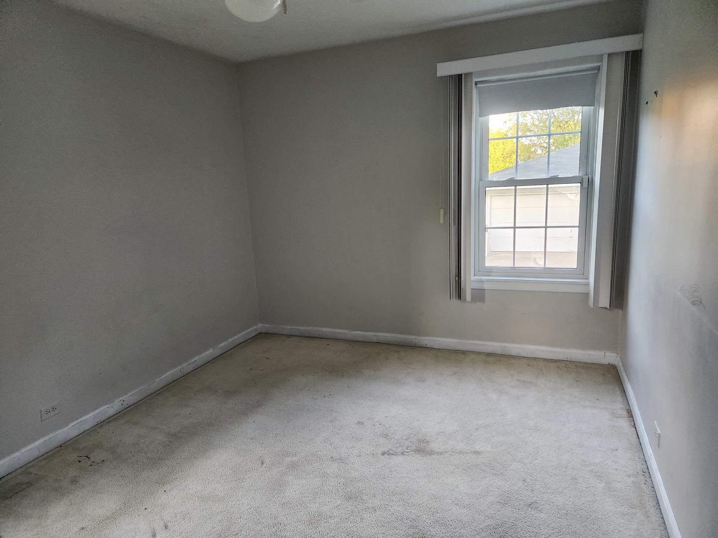215 North Westgate Road Mount Prospect, IL 60056 - Photo 7 of 25 Gallery Image 7