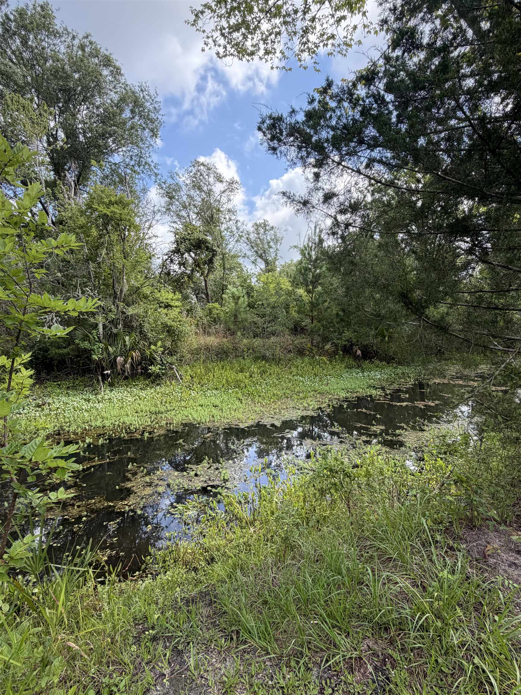 0 North Calhoun Street Perry, FL 32347 - Photo 13 of 13 Gallery Image 13