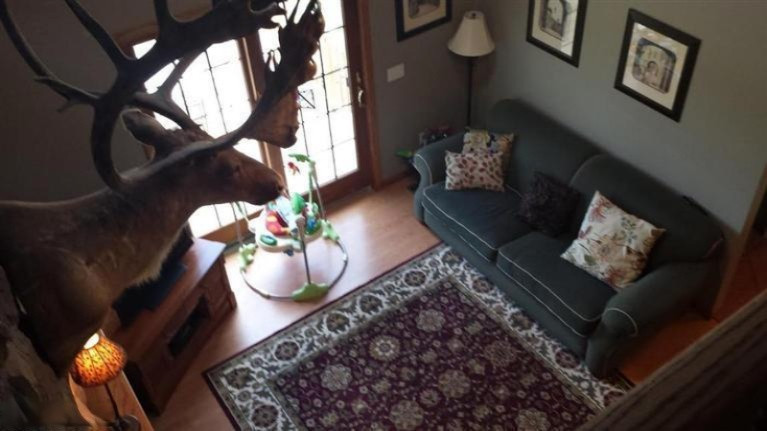 7580 Tuttle Road Pittsford, MI 49271 - Photo 19 of 23 Additional Photo