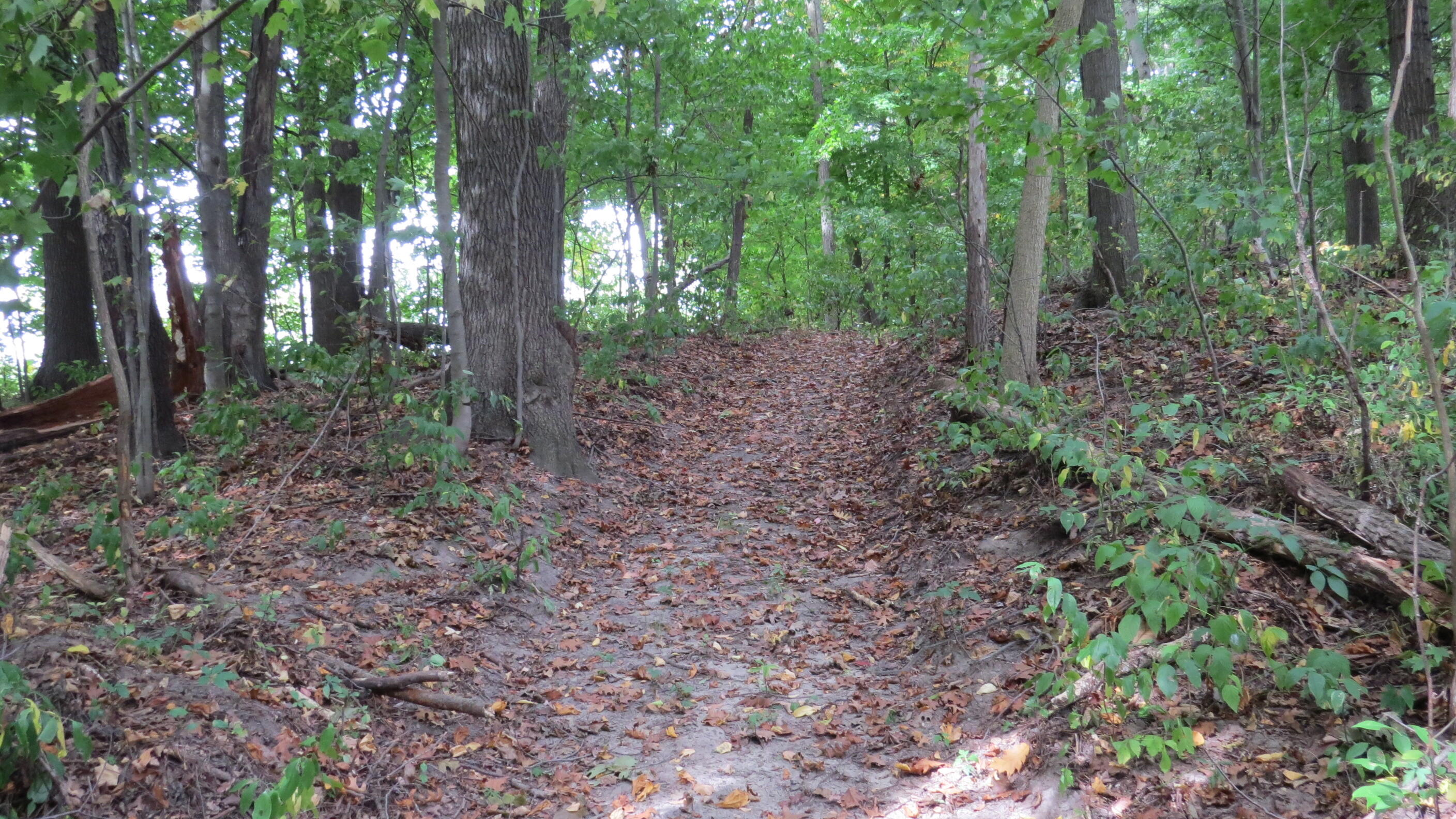 5882 Mullen Ridge Drive Delton, MI 49046 - Photo 36 of 38 IMG_0707