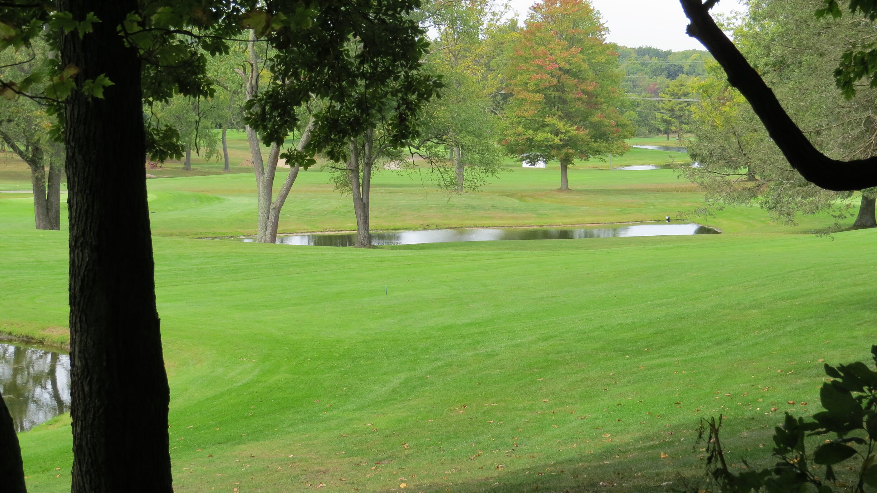 5882 Mullen Ridge Drive Delton, MI 49046 - Photo 38 of 38 IMG_0709