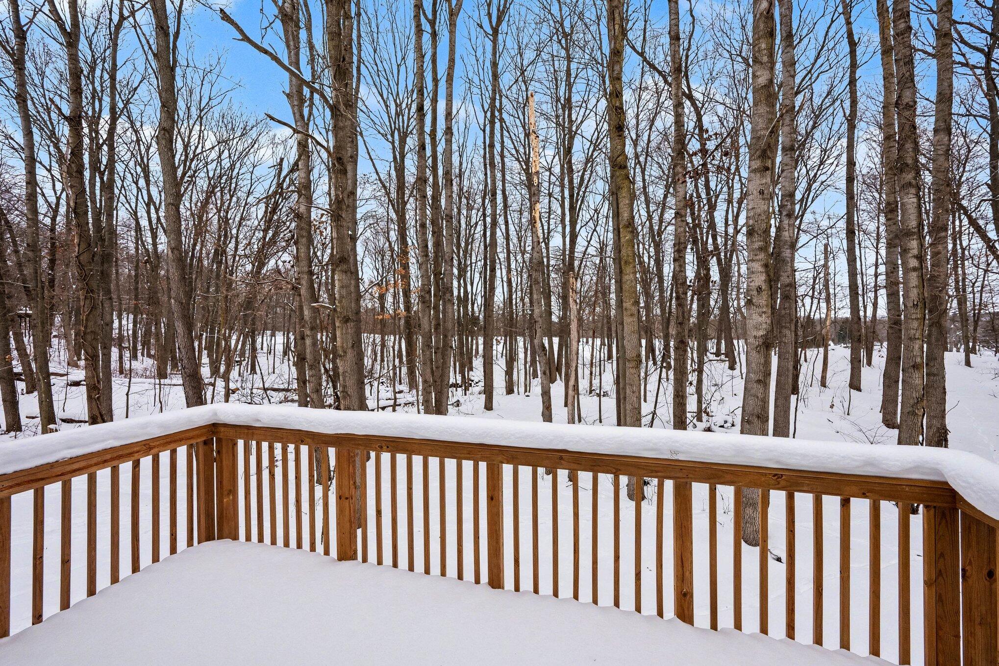 5882 Mullen Ridge Drive Delton, MI 49046 - Photo 6 of 38 028_file_5512