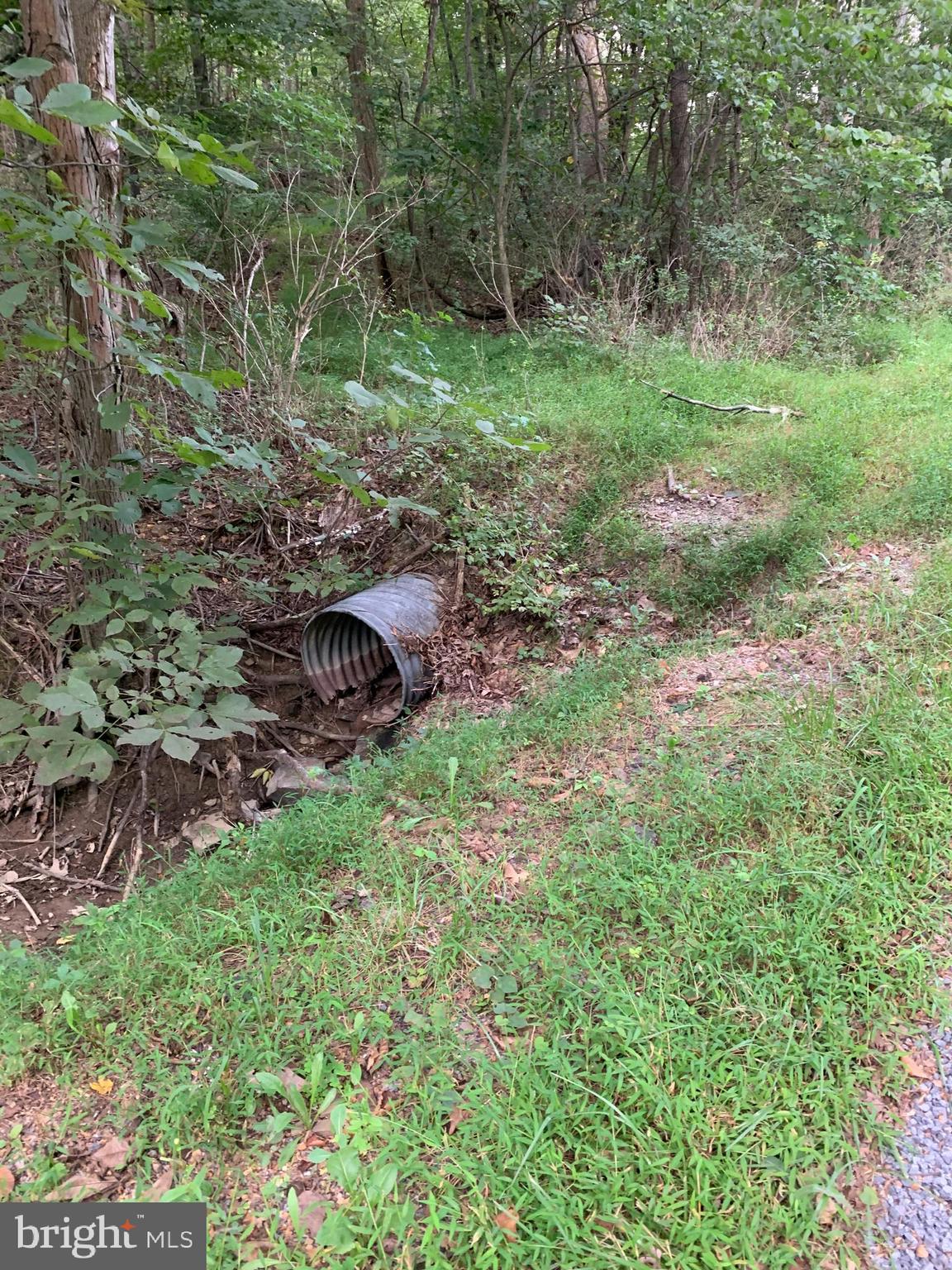 13.1 West Branch Road, Unit PARCEL Berkeley Springs, WV 25411 - Photo 13 of 23 Culvert and Entrance to property
