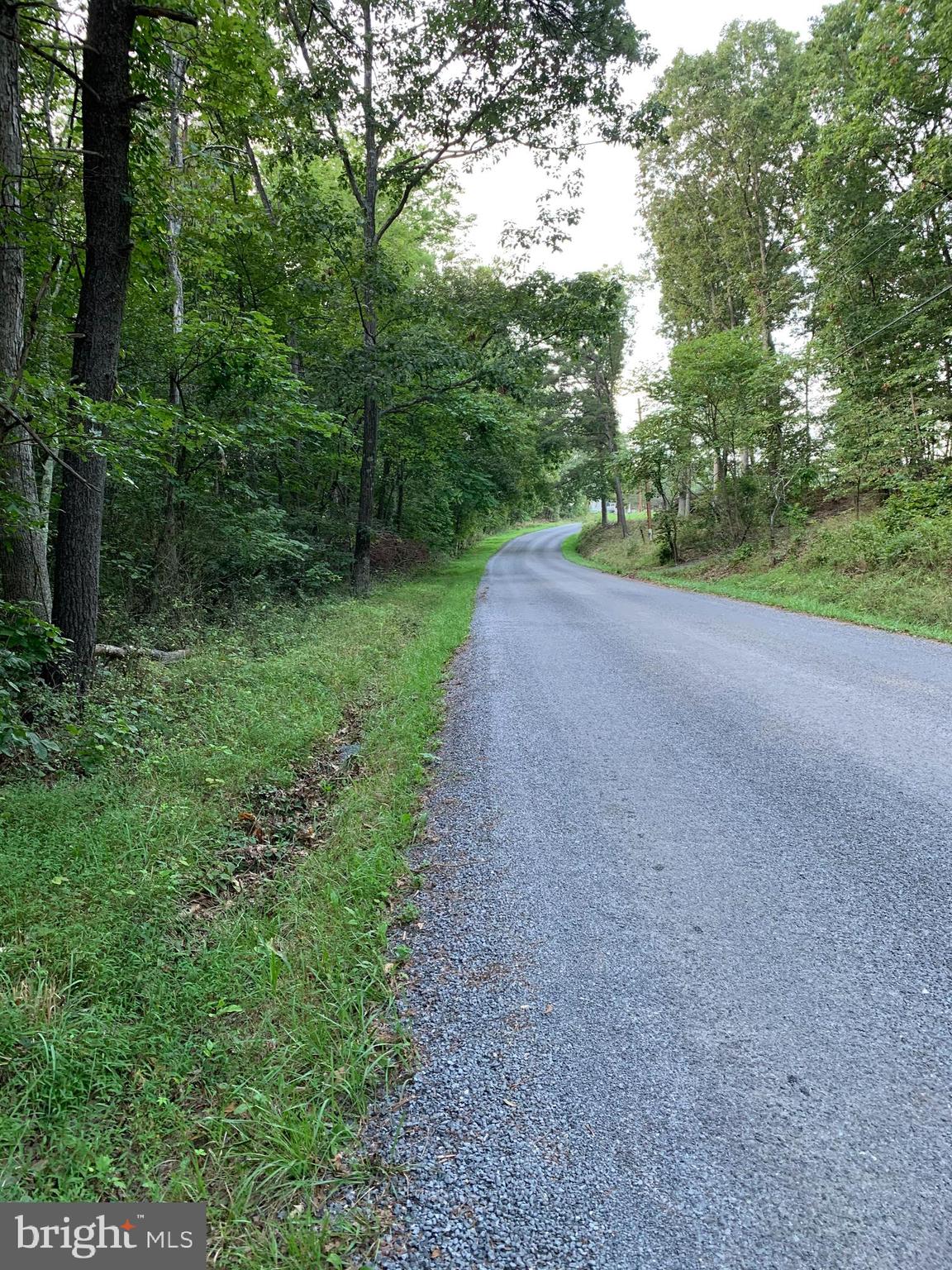 13.1 West Branch Road, Unit PARCEL Berkeley Springs, WV 25411 - Photo 22 of 23 Looking North property on the left
