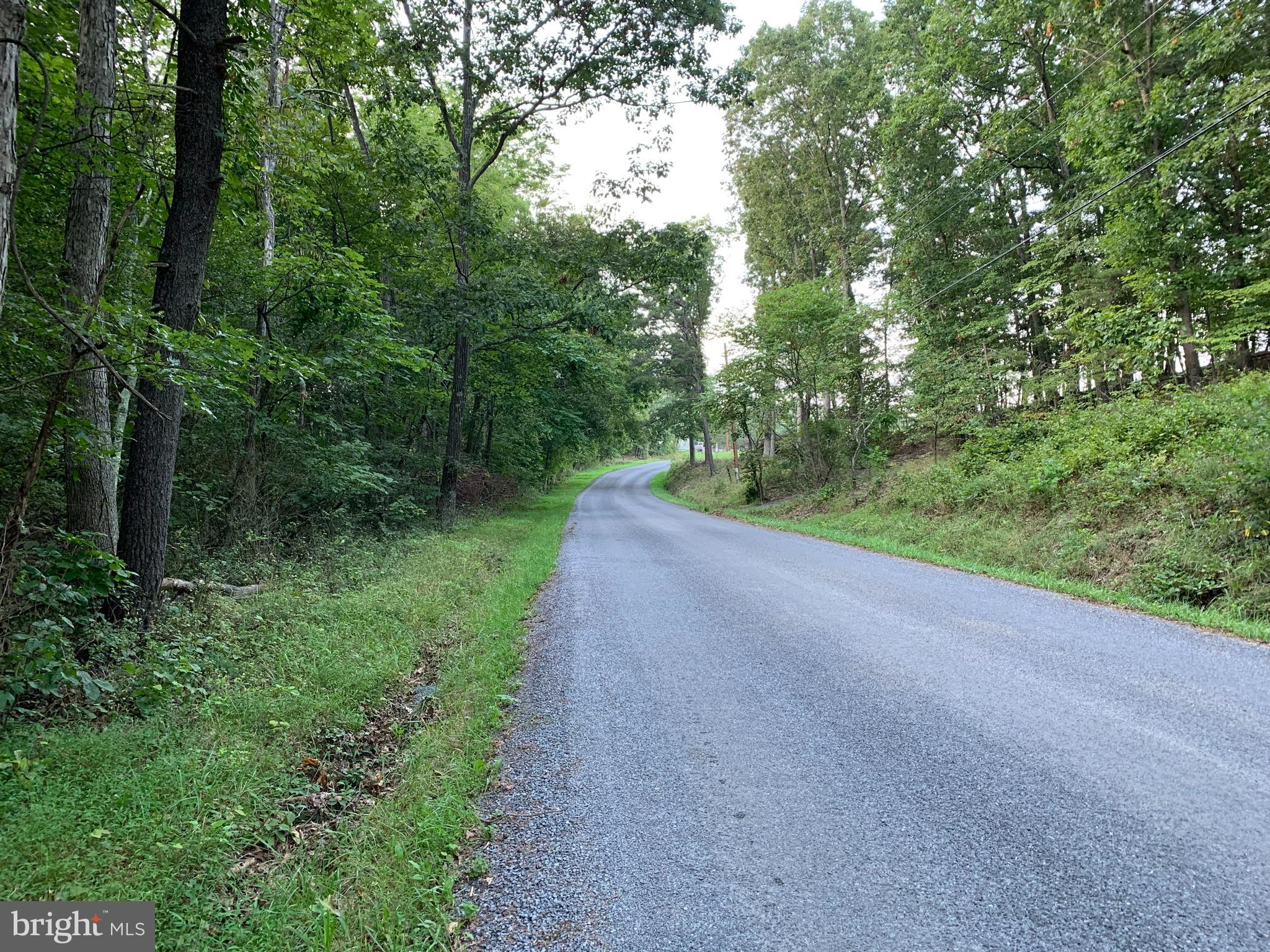13.1 West Branch Road, Unit PARCEL Berkeley Springs, WV 25411 - Photo 23 of 23 Looking North Property on the left