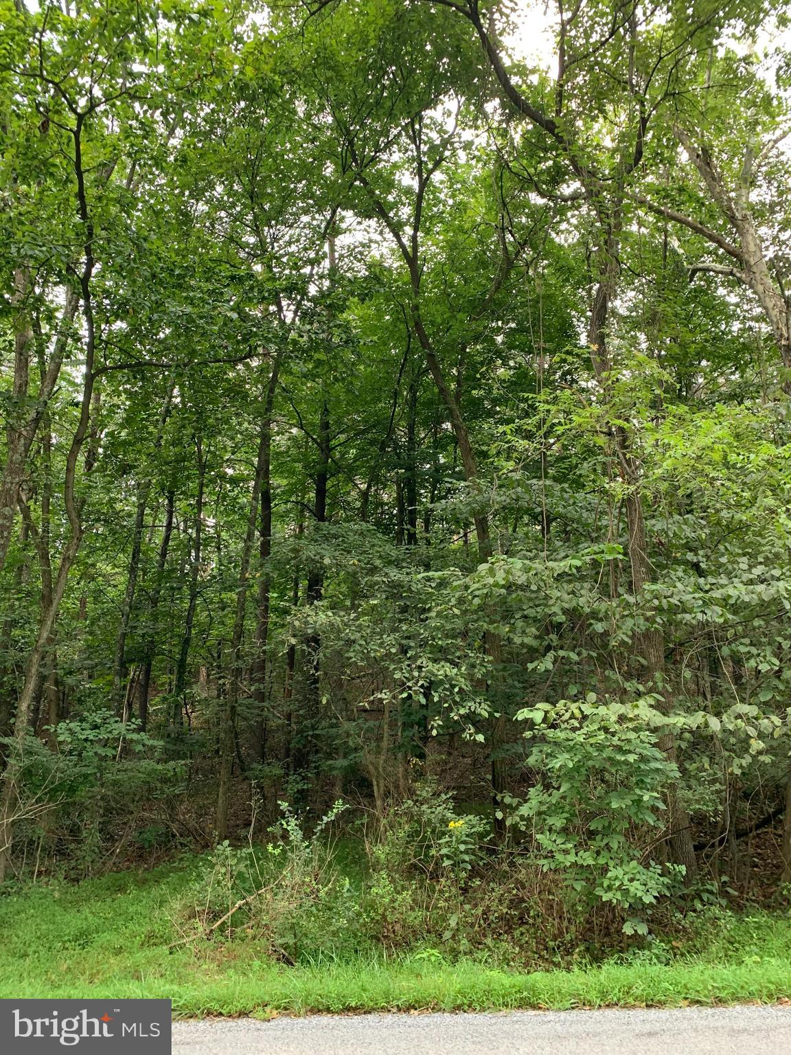 13.1 West Branch Road, Unit PARCEL Berkeley Springs, WV 25411 - Photo 6 of 23 Front of Property