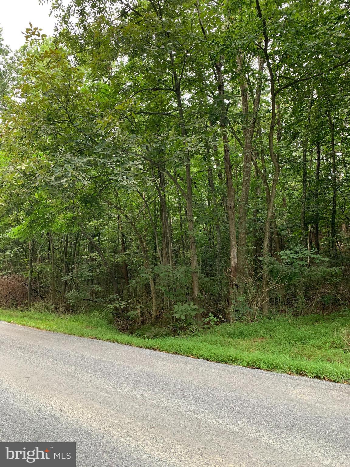 13.1 West Branch Road, Unit PARCEL Berkeley Springs, WV 25411 - Photo 8 of 23 Front of Property