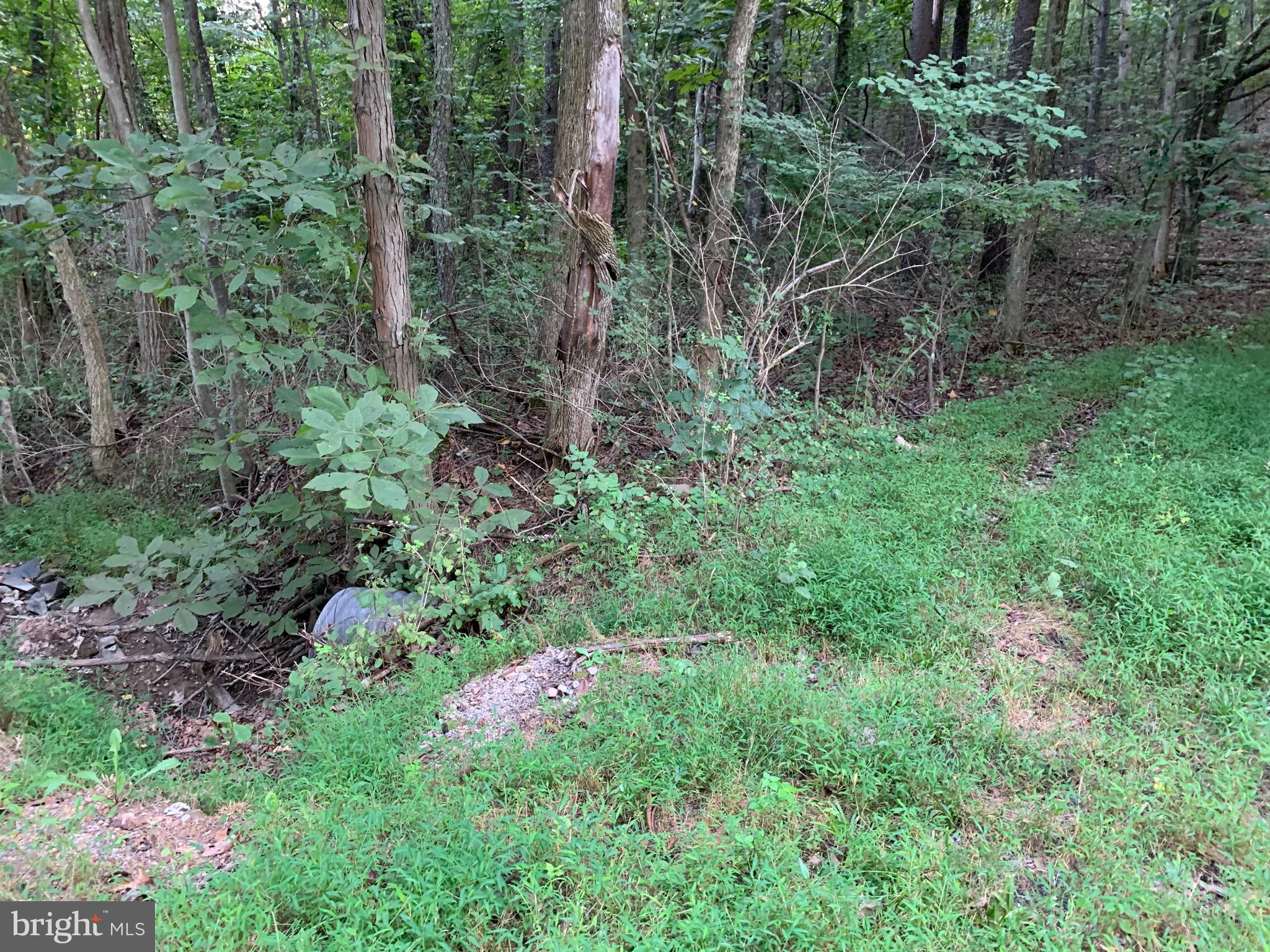 13.1 West Branch Road, Unit PARCEL Berkeley Springs, WV 25411 - Photo 10 of 23 Culvert under entrance to property