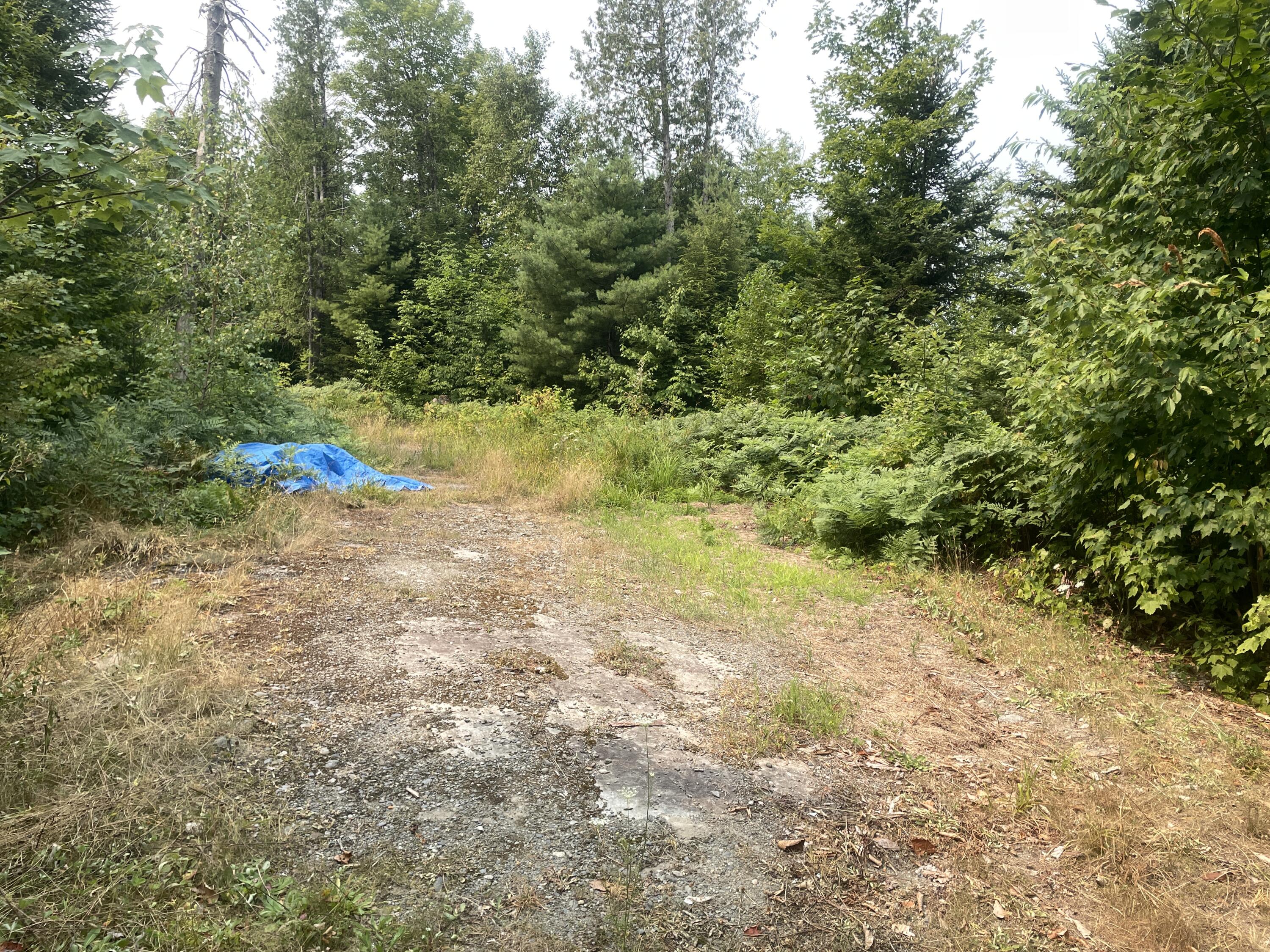 0 Huff Corner Road Wellington, ME 04942 - Photo 4 of 8 IMG_3819