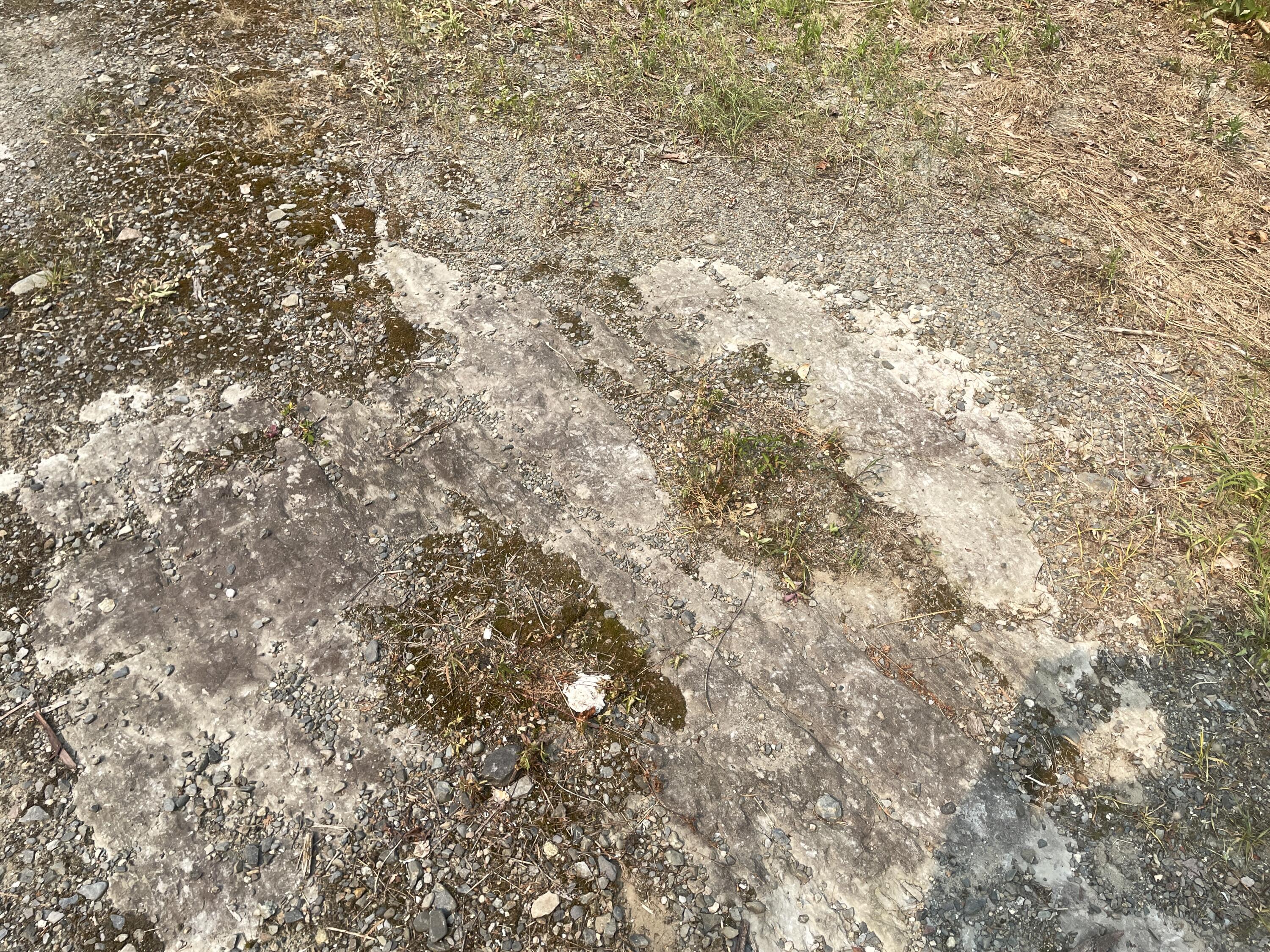 0 Huff Corner Road Wellington, ME 04942 - Photo 5 of 8 IMG_3820