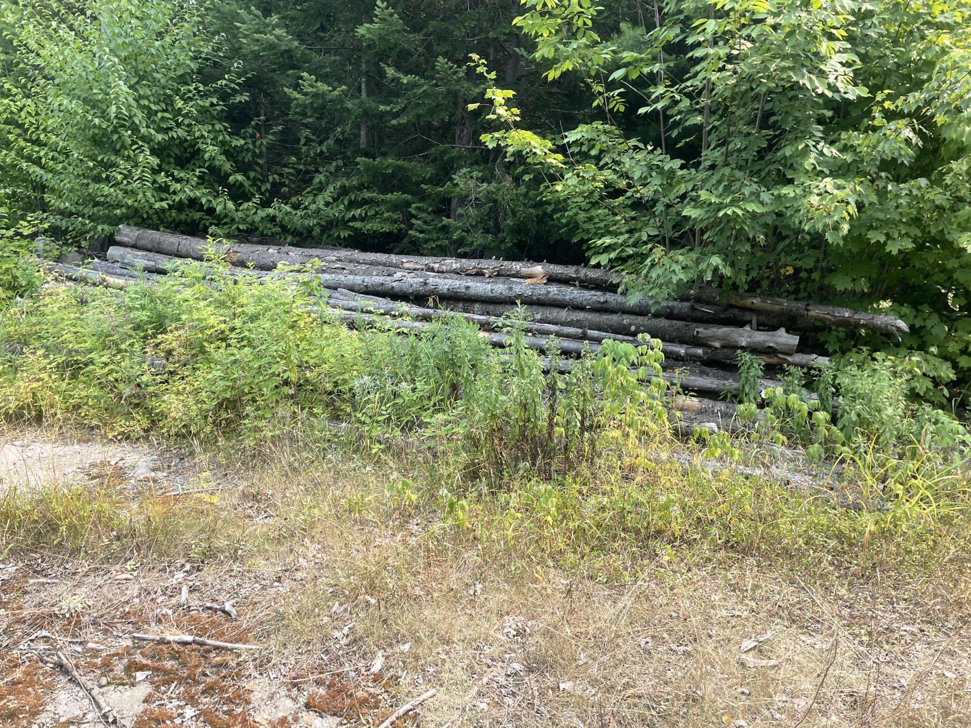 0 Huff Corner Road Wellington, ME 04942 - Photo 6 of 8 IMG_3825