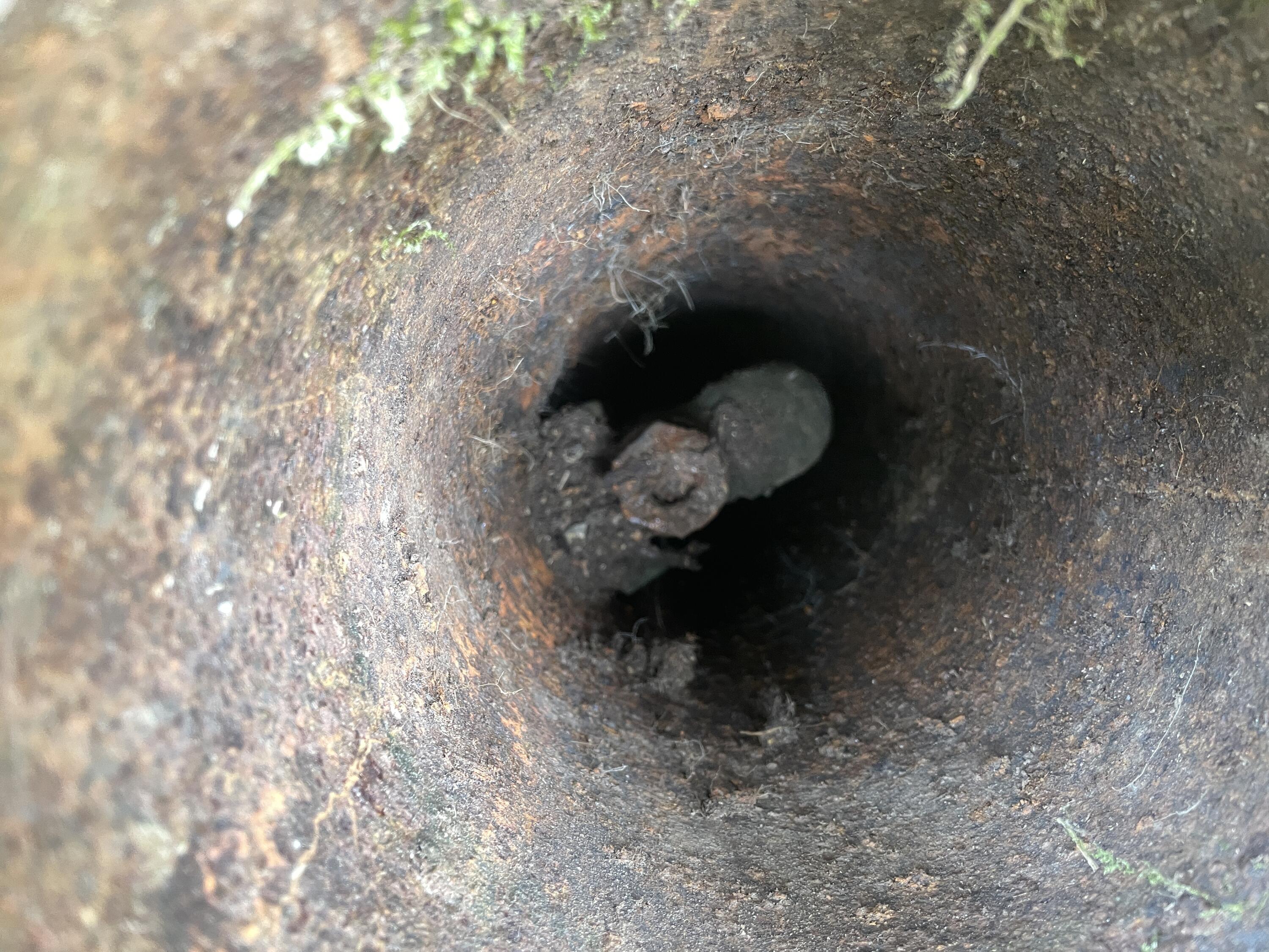 0 Huff Corner Road Wellington, ME 04942 - Photo 8 of 8 IMG_3828